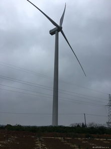 風力發電的噪音困擾 綠色能源背后的鄰里挑戰